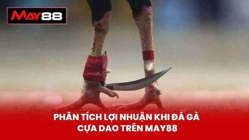 Phân Tích Lợi Nhuận Khi Đá Gà Cựa Dao Trên May88