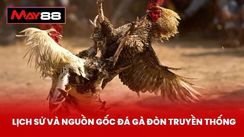 Lịch Sử và Nguồn Gốc Đá Gà Đòn Truyền Thống