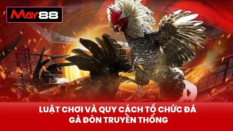 Luật Chơi Và Quy Cách Tổ Chức Đá Gà Đòn Truyền Thống