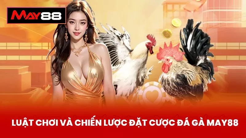 Luật Chơi Và Chiến Lược Đặt Cược Đá Gà May88