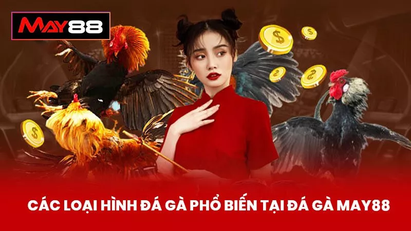 Các Loại Hình Đá Gà Phổ Biến Tại Đá Gà May88