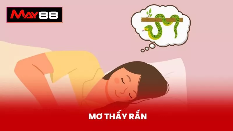 Mơ Thấy Rắn Đánh Con Gì? Ý Nghĩa Của Giấc Mơ Thấy Rắn