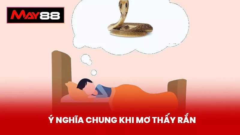Ý Nghĩa Chung Khi Mơ Thấy Rắn