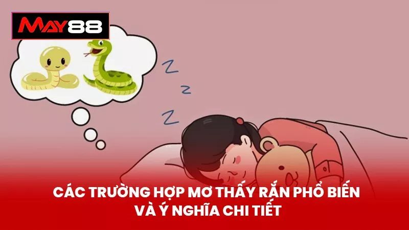 Các Trường Hợp Mơ Thấy Rắn Phổ Biến Và Ý Nghĩa Chi Tiết