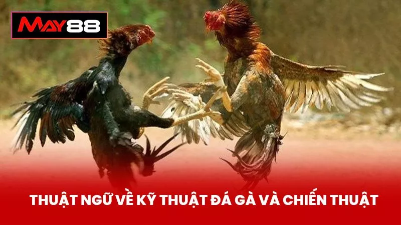 Thuật Ngữ Về Kỹ Thuật Đá Gà Và Chiến Thuật