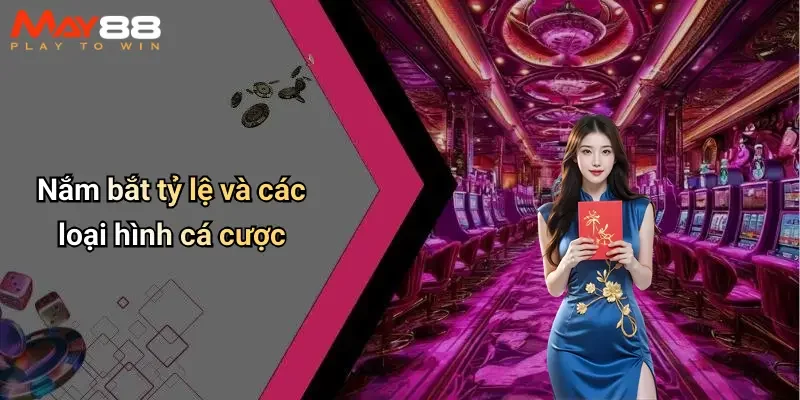 Nắm bắt tỷ lệ và các loại hình cá cược