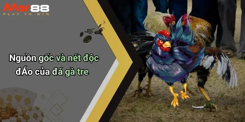Nguồn gốc và nét độc đÁo của đá gà tre