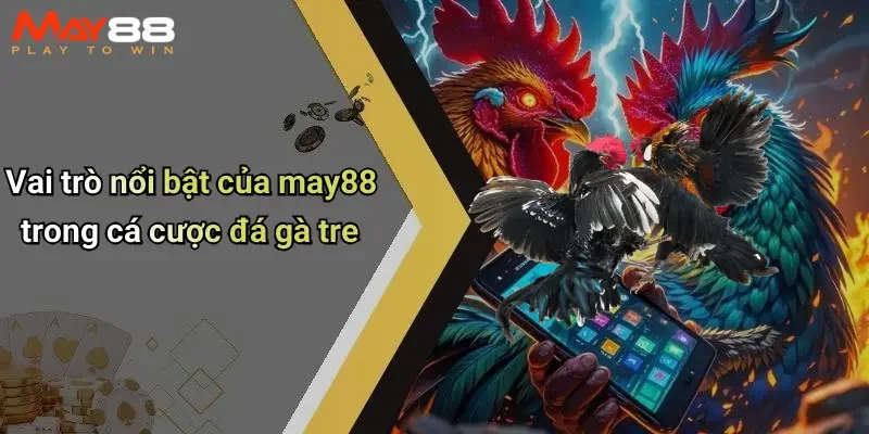 Vai trò nổi bật của may88 trong cá cược đá gà tre